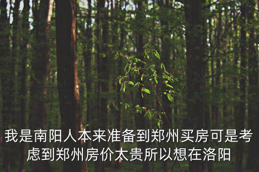 我是南陽人本來準備到鄭州買房可是考慮到鄭州房價太貴所以想在洛陽