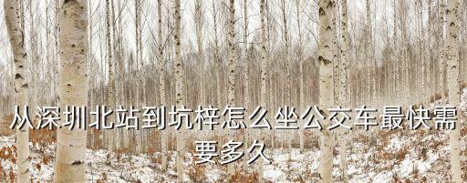 從深圳北站到坑梓怎么坐公交車最快需要多久