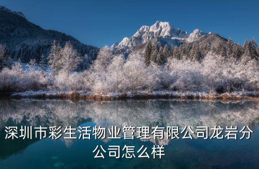 深圳市彩生活物業管理有限公司龍巖分公司怎么樣