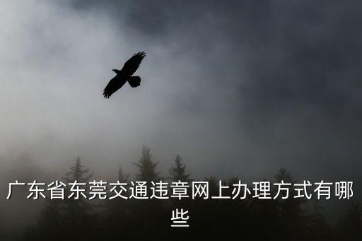 廣東省東莞交通違章網(wǎng)上辦理方式有哪些