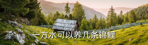 7個立方水可以養多少錦鯉，魚池養殖錦鯉每立方米水養魚多少