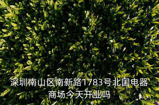 深圳南山區南新路1783號北國電器商場今天開業嗎