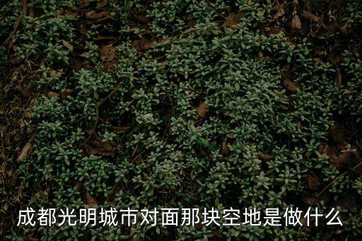 成都光明城市對面那塊空地是做什么