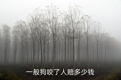 一般狗咬了人賠多少錢(qián)