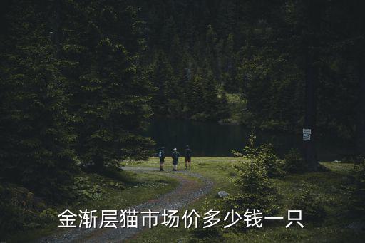 金漸層貓市場價多少錢一只