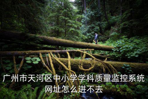 怎么看監控系統廣州，想知道 廣州市 監控主機市場 在哪