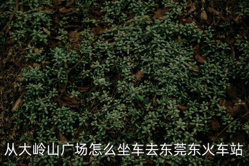 從大嶺山廣場怎么坐車去東莞東火車站