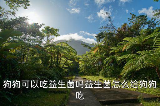 益生菌幼犬一天吃多少，小狗吃益生菌多長時間為一個療程