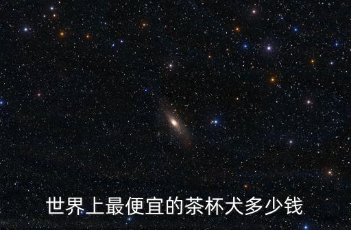 世界上最便宜的茶杯犬多少錢