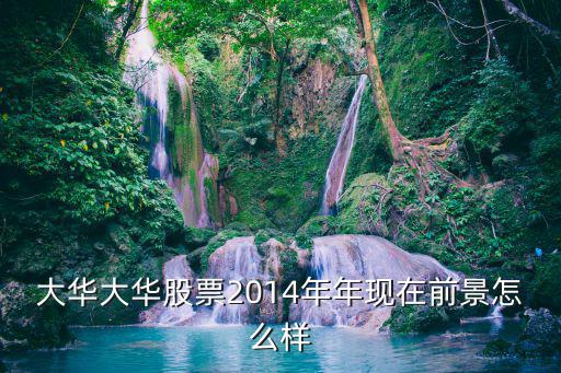 大華大華股票2014年年現在前景怎么樣
