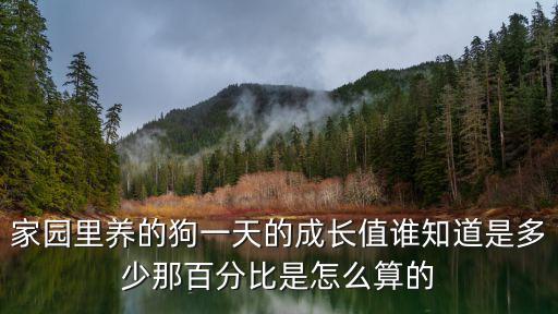 家園里養的狗一天的成長值誰知道是多少那百分比是怎么算的