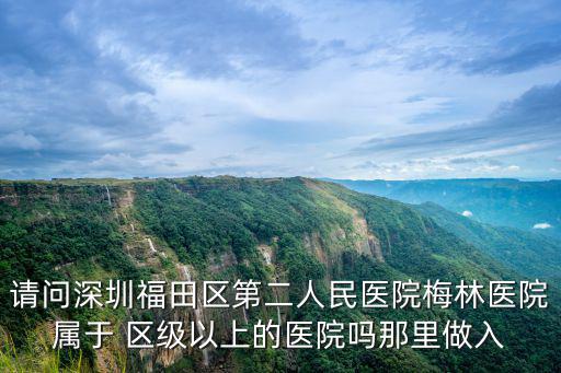 深圳市下梅林醫院，深圳市梅林醫院的介紹
