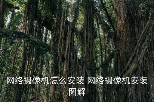 大華網絡球機怎么安裝方法，大華錄像機怎么添加?？登驒C
