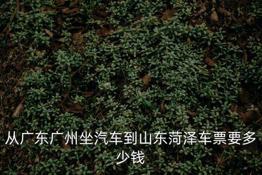 廣州到菏澤的大巴，廣州到哪里再到菏澤的汽車比較近