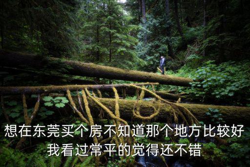 東莞常平那個小區好，想在東莞買個房不知道那個地方比較好我看過常平的覺得還不錯
