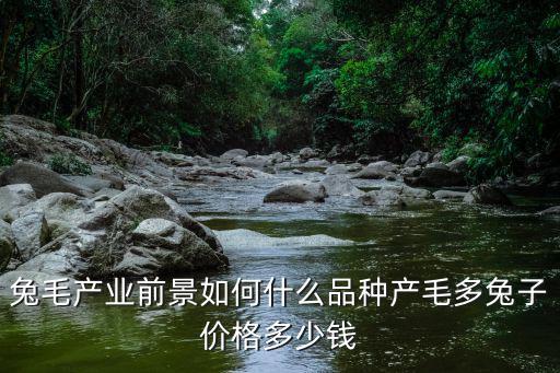 兔毛產業前景如何什么品種產毛多兔子價格多少錢