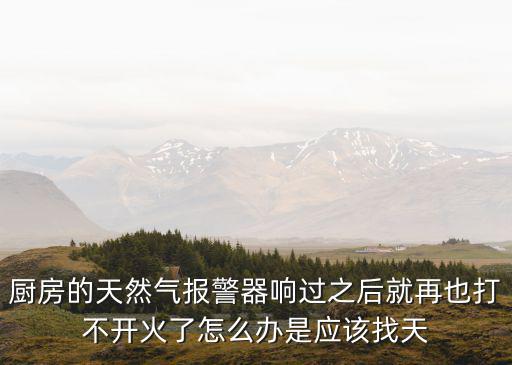 廚房的天然氣報警器響過之后就再也打不開火了怎么辦是應該找天