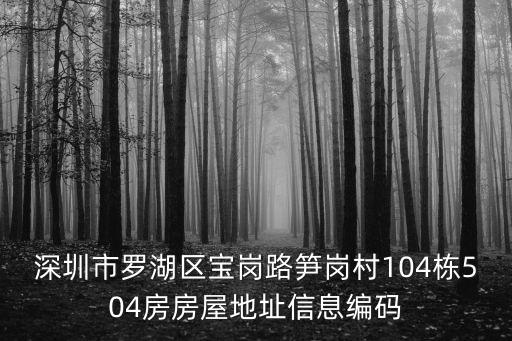 深圳市羅湖區寶崗路筍崗村104棟504房房屋地址信息編碼