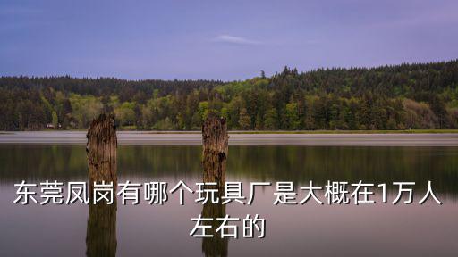 東莞創(chuàng)冠玩具有限公司，東莞那里有玩具廠