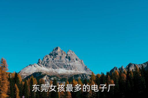 東莞女孩最多的電子廠