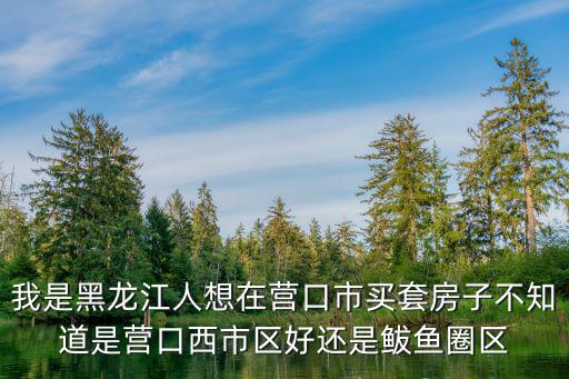 我是黑龍江人想在營口市買套房子不知道是營口西市區好還是鲅魚圈區
