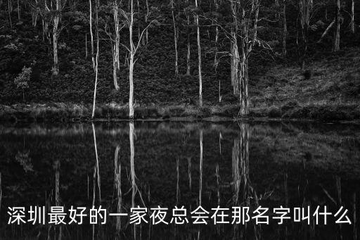 深圳最好的一家夜總會在那名字叫什么