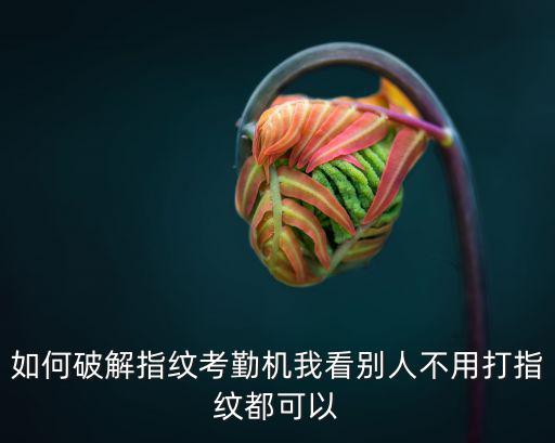 如何破解指紋考勤機我看別人不用打指紋都可以