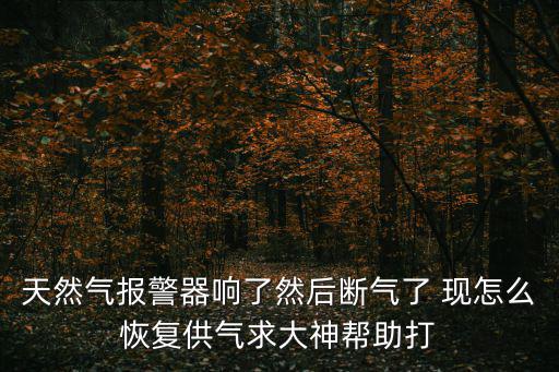 天燃氣報警器怎么恢復供氣，天然氣報警器報警后如何恢復供氣
