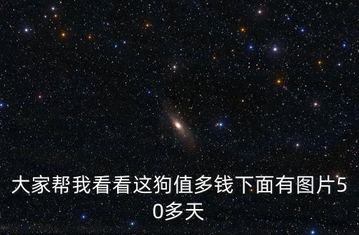 大家幫我看看這狗值多錢下面有圖片50多天