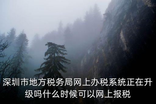 深圳市地方稅務局網上辦稅系統正在升級嗎什么時候可以網上報稅