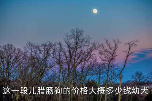 這一段兒臘腸狗的價格大概多少錢幼犬