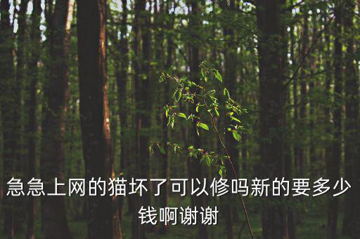 小貓修毛多少錢，狗狗修毛一般多少錢