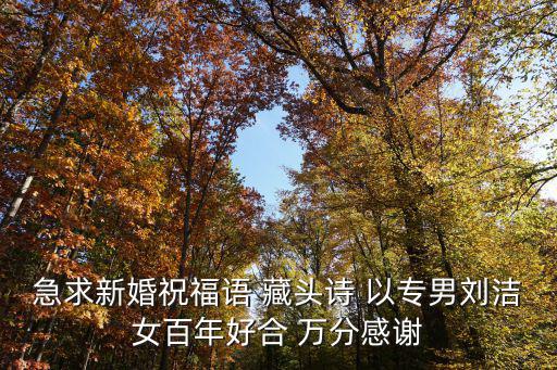 深圳劉潔抗疫演講內容，急求新婚祝福語 藏頭詩 以專男劉潔女百年好合 萬分感謝