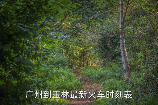 廣州到玉林最新火車時刻表