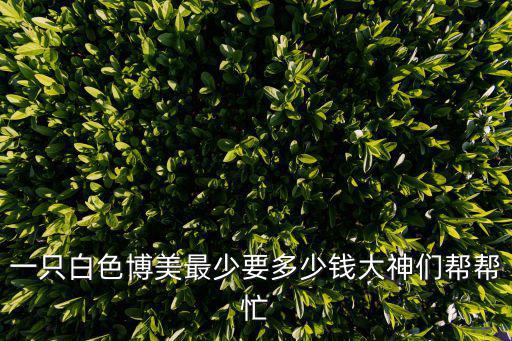 養博美狗能賣多少錢一只，博美狗多少錢一只
