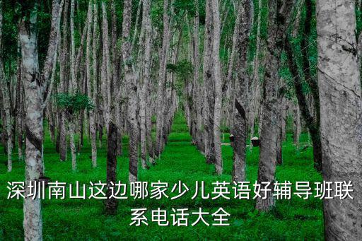 深圳南山這邊哪家少兒英語好輔導班聯系電話大全