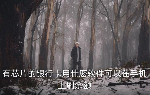 芯片怎么刷卡進自助銀行，有芯片的銀行卡用什麼軟件可以在手機上刷余額