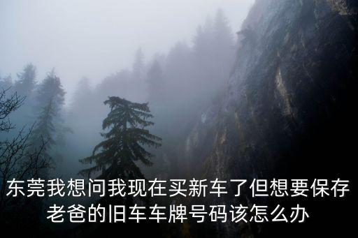 東莞車牌用幾年可保留，東莞我想問我現在買新車了但想要保存老爸的舊車車牌號碼該怎么辦