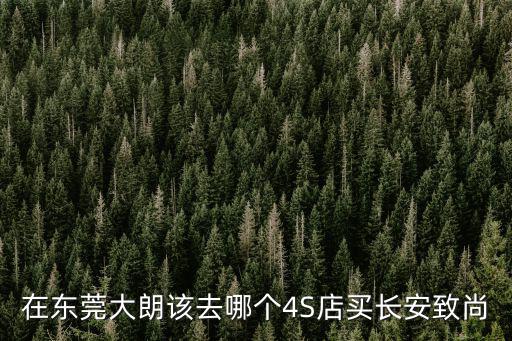 在東莞大朗該去哪個4S店買長安致尚
