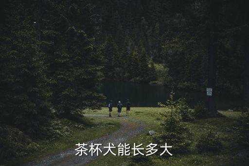 茶杯犬最大能長多少斤，茶杯貴賓犬最大能長到多大