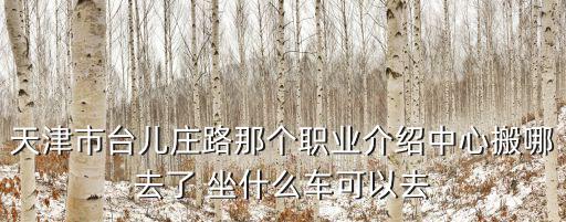 天津市臺(tái)兒莊路那個(gè)職業(yè)介紹中心搬哪去了 坐什么車(chē)可以去