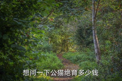 想問一下公貓絕育多少錢