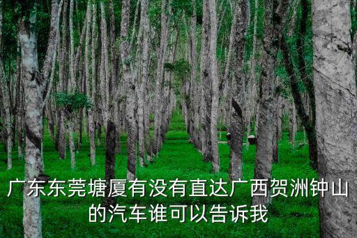 東莞到廣西鐘山高鐵，鐘山到東莞有幾點(diǎn)的高鐵