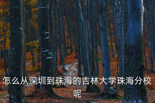 深圳到吉珠怎么去，從深圳龍崗區到珠海金灣區吉林大學珠海學院最快的方式麻煩順便告