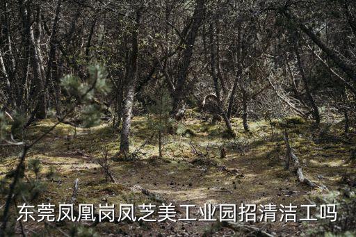 東莞鳳凰崗招工信息，東莞鳳凰崗鳳芝美工業園招清潔工嗎