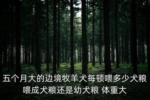 五個月大的邊境牧羊犬每頓喂多少犬糧喂成犬糧還是幼犬糧 體重大