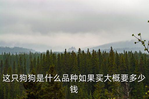 國美犬圖片多少錢一只，國美品種的狗狗 這種狗狗好不好