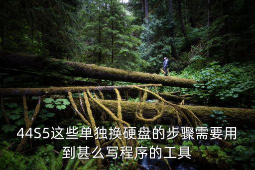 44S5這些單獨換硬盤的步驟需要用到甚么寫程序的工具