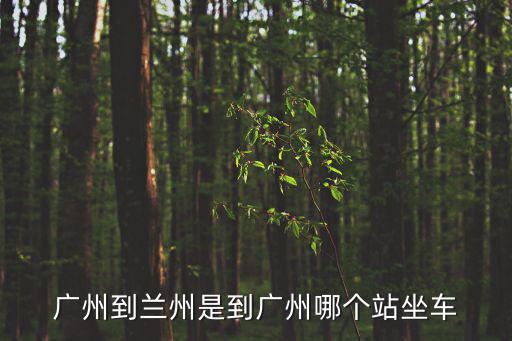廣州到蘭州是到廣州哪個站坐車