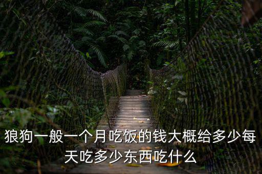 狼狗一般一個月吃飯的錢大概給多少每天吃多少東西吃什么